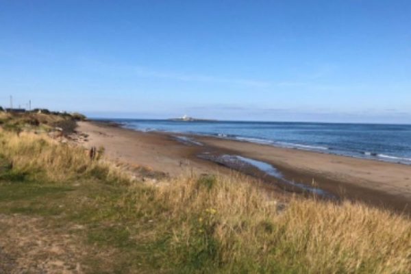 imgi_45_silver-02